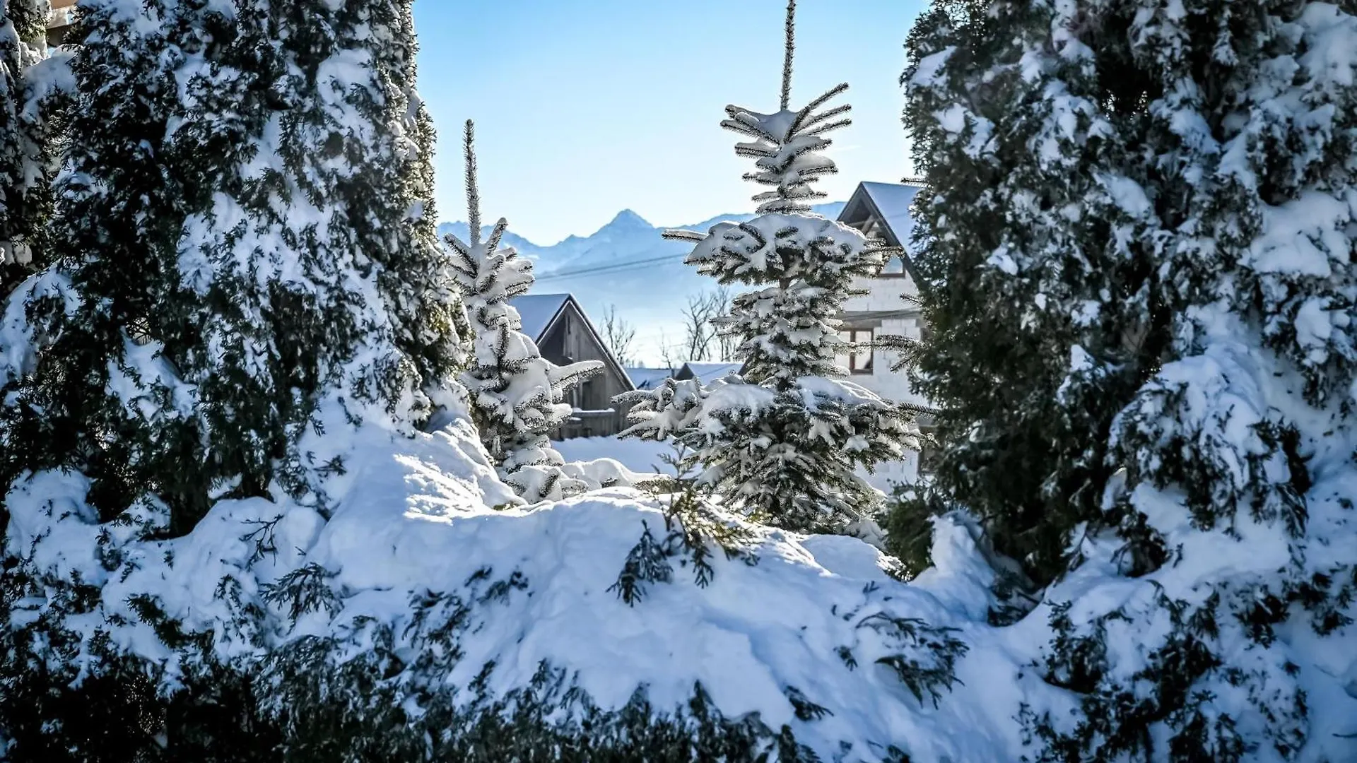 Chalet Domek U Zosi Zakopane